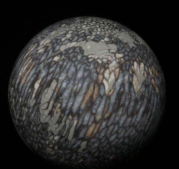 Fossilized Coral Sphere 3.66