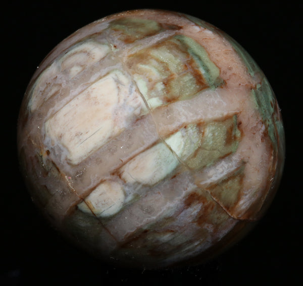 Green Petrified wood sphere 1.66