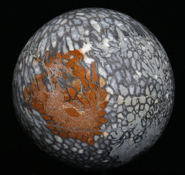 Chinese Fossil Coral Sphere 2.73