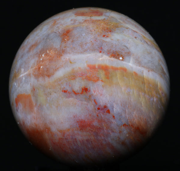 Arizona Petrified Wood Sphere 2.38