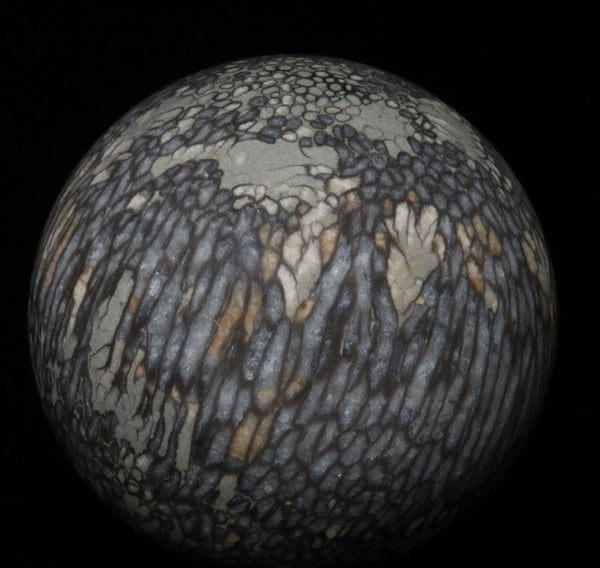 Fossilized Coral Sphere 3.66