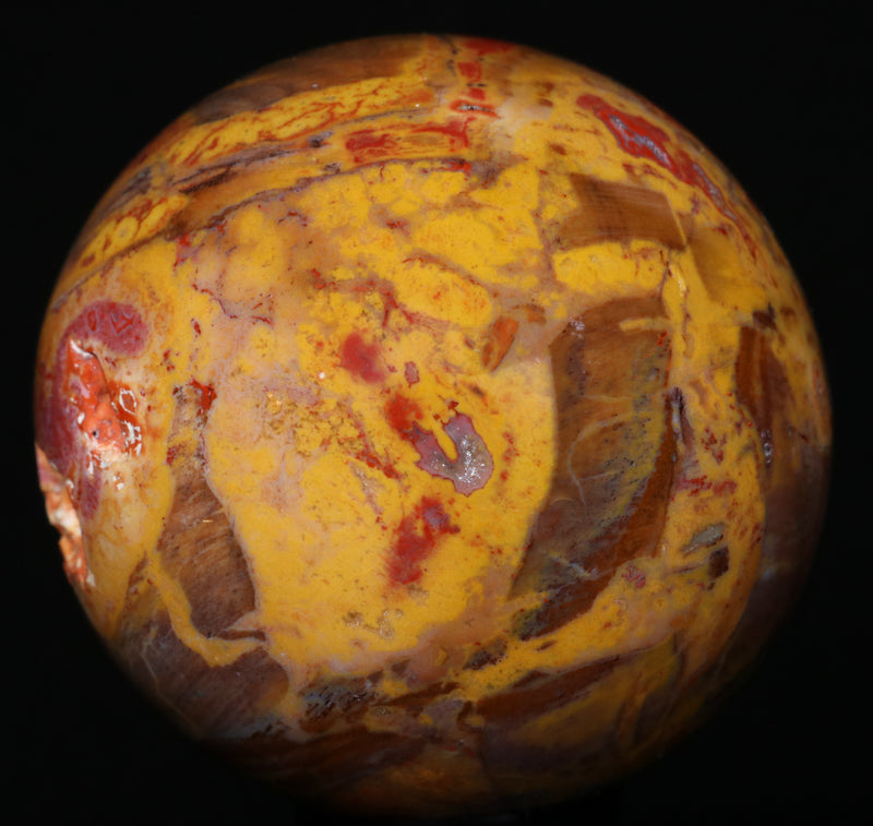 Arizona Petrified Wood Sphere 1.81"