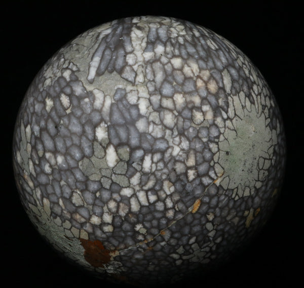 Chinese Fossil Coral Sphere 3.39