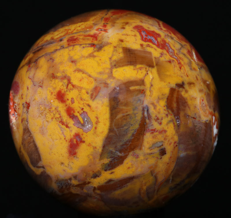Arizona Petrified Wood Sphere 1.81"