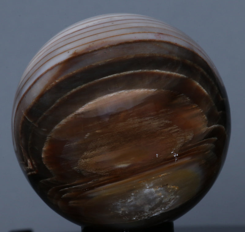 Petrified Wood Sphere 1.77"