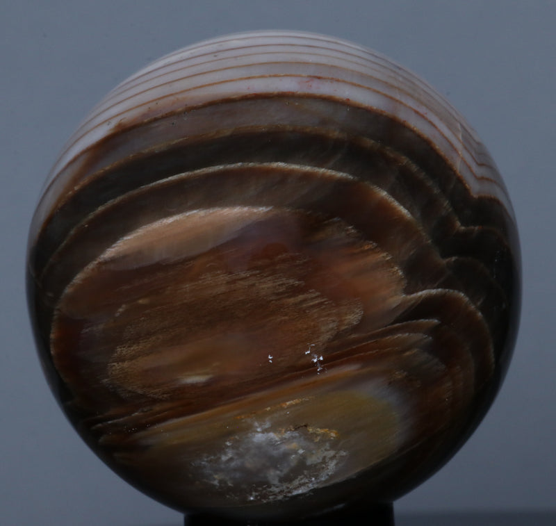 Petrified Wood Sphere 1.77"