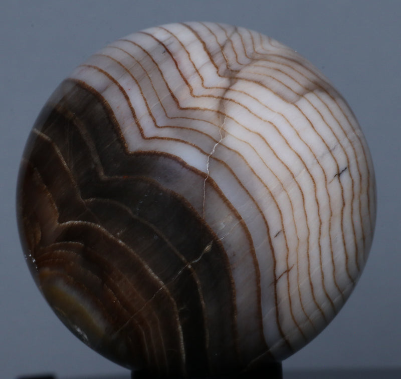 Petrified Wood Sphere 1.77"