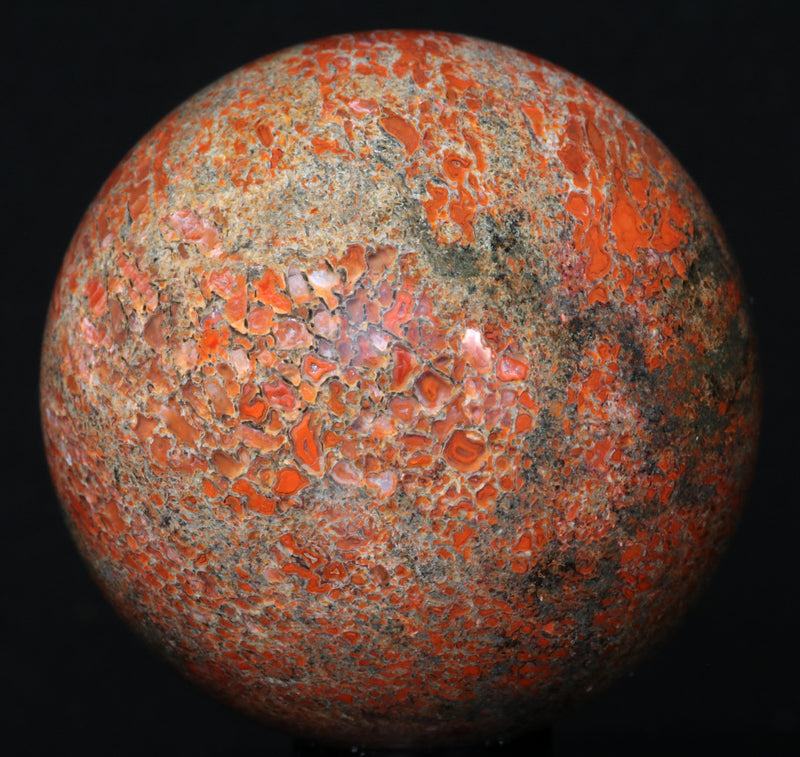 Dinosaur Bone (Gembone) Sphere 2.06